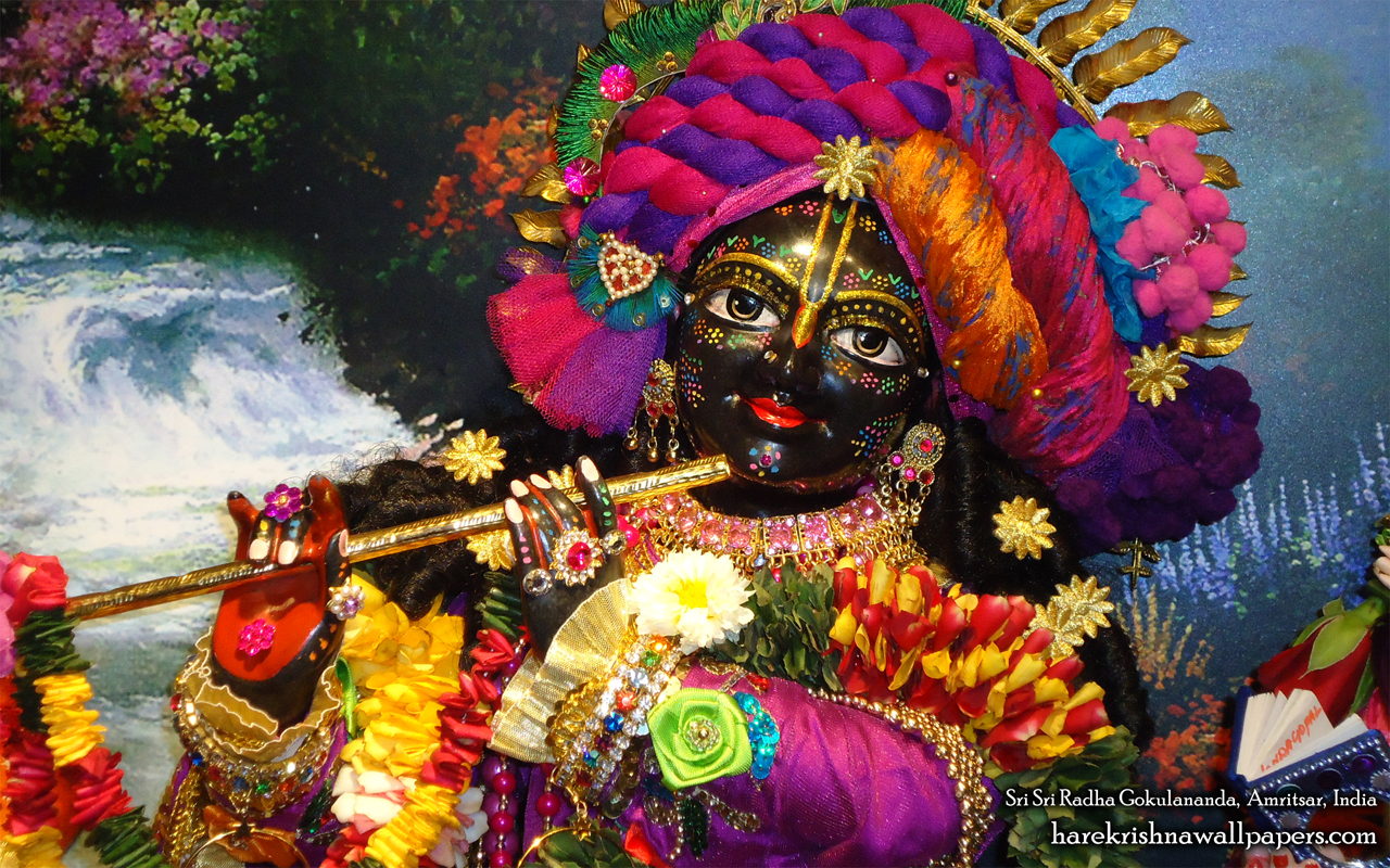 Sri Gokulananda Close up Wallpaper (002) Size 1280x800 Download