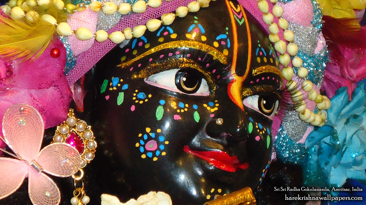 Sri Gokulananda Close up Wallpaper (004) Size1280x720 Download
