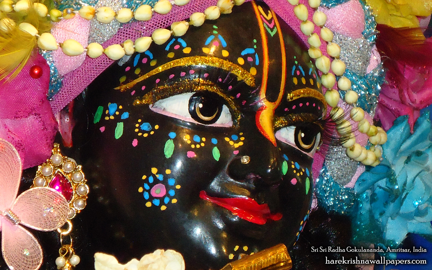 Sri Gokulananda Close up Wallpaper (004) Size 1440x900 Download