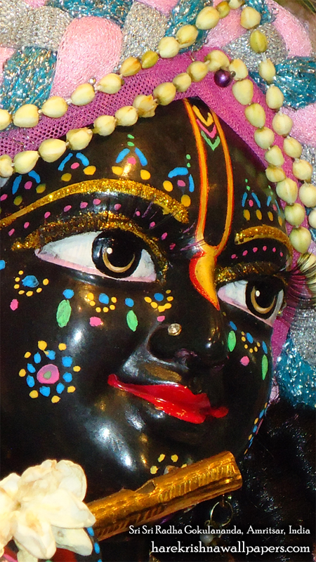 Sri Gokulananda Close up Wallpaper (004) Size 450x800 Download