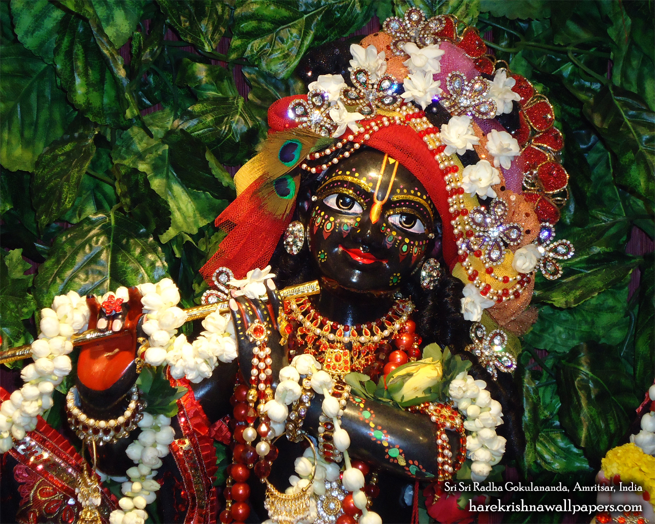 Sri Gokulananda Close up Wallpaper (006) Size 1280x1024 Download