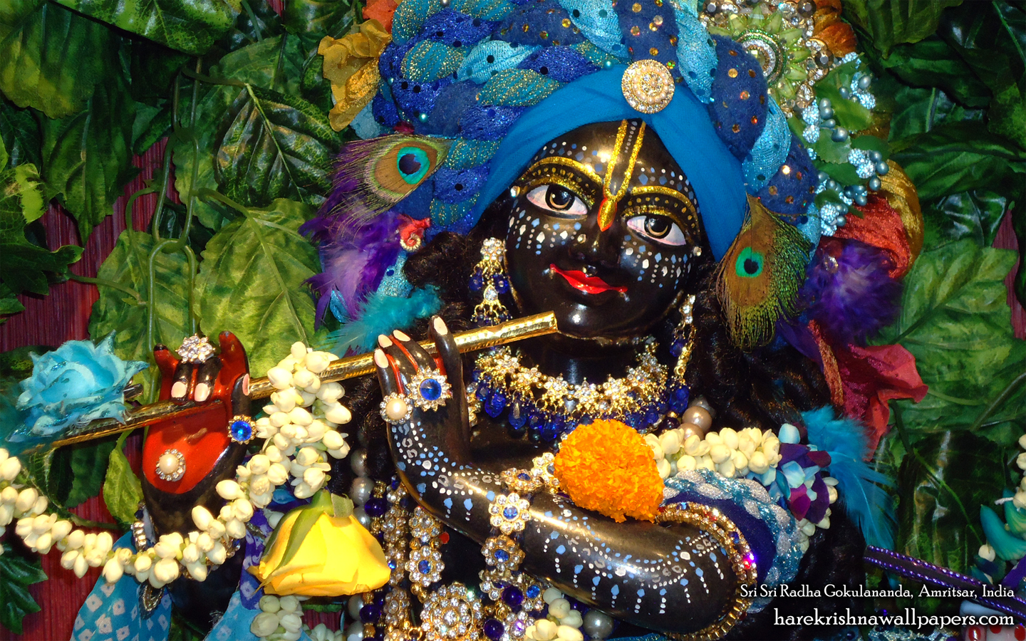 Sri Gokulananda Close up Wallpaper (007) Size 1440x900 Download