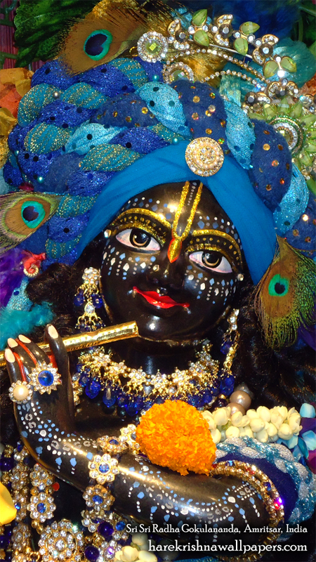 Sri Gokulananda Close up Wallpaper (007) Size 450x800 Download