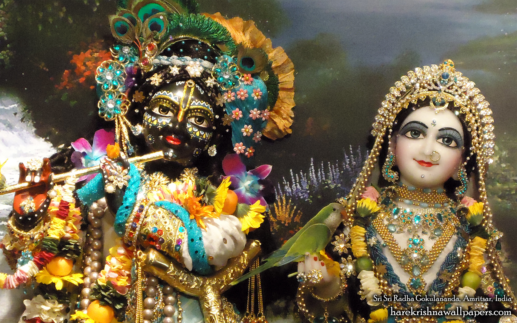 Sri Sri Radha Gokulananda Close up Wallpaper (007) Size 1680x1050 Download