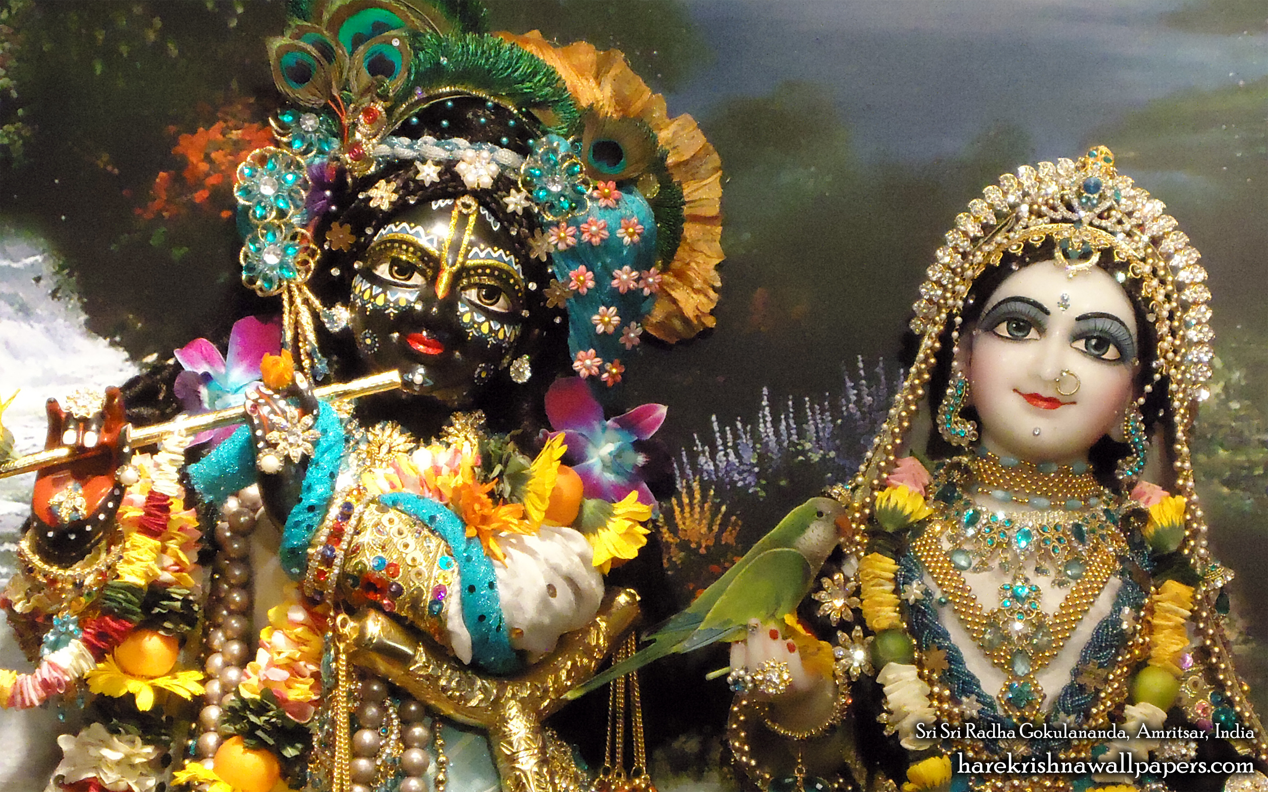 Sri Sri Radha Gokulananda Close up Wallpaper (007) Size 2560x1600 Download