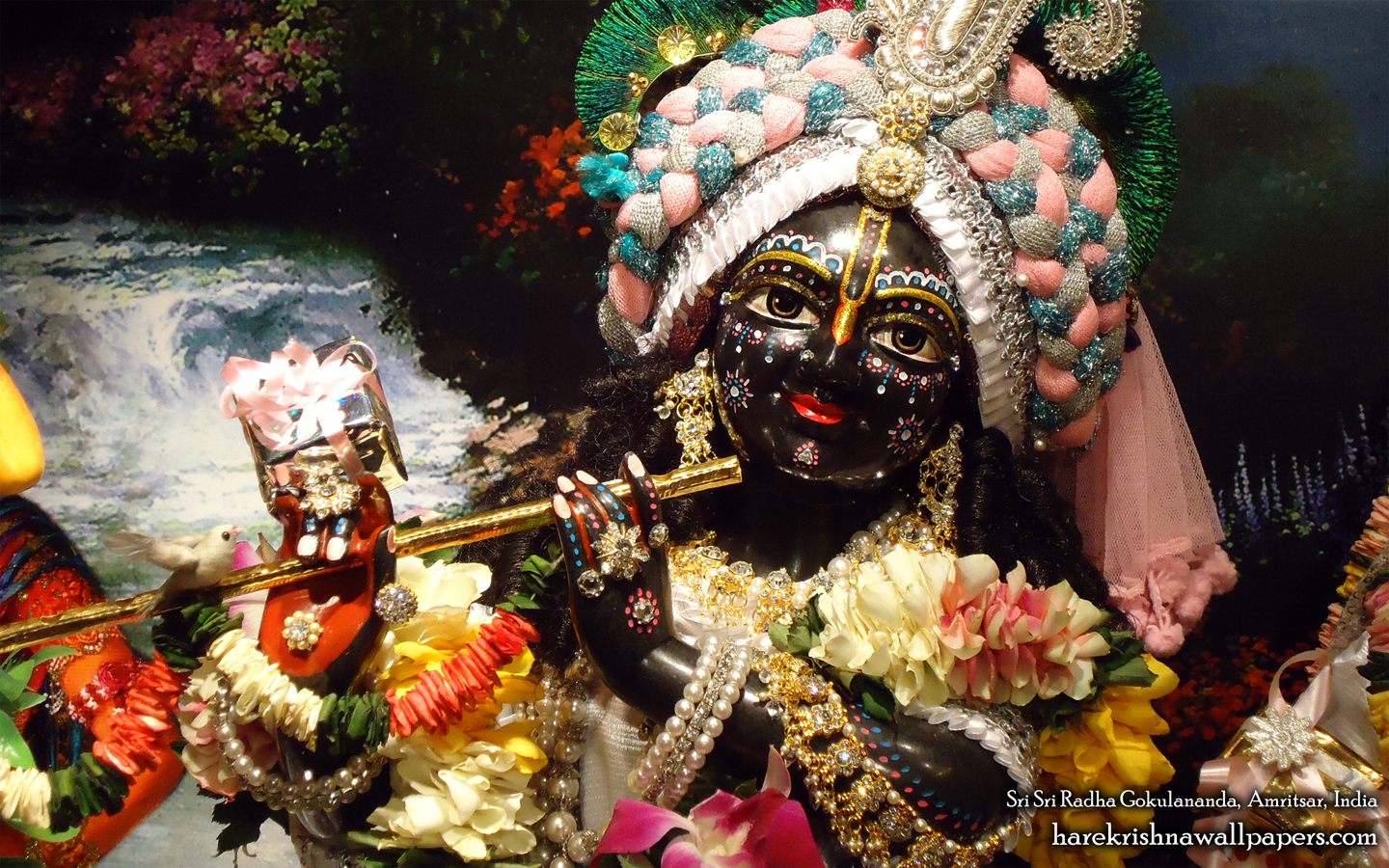 Sri Gokulananda Close up Wallpaper (008) Size 1440x900 Download