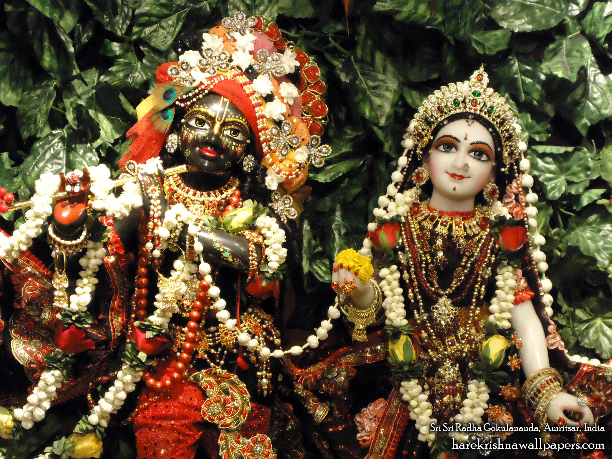 Sri Sri Radha Gokulananda Close up Wallpaper (009) Size 2400x1800 Download