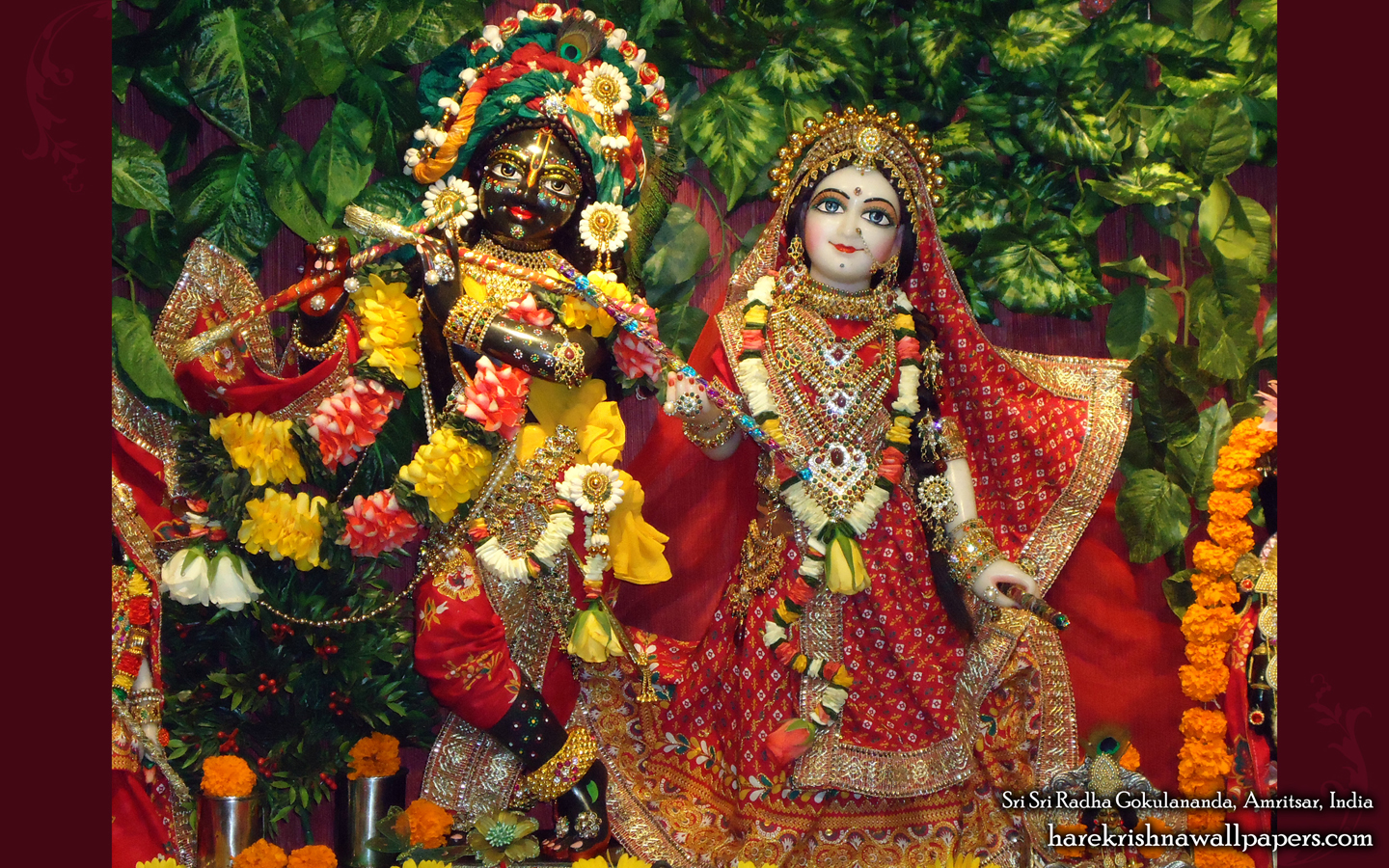 Sri Sri Radha Gokulananda Wallpaper (010) Size 1440x900 Download