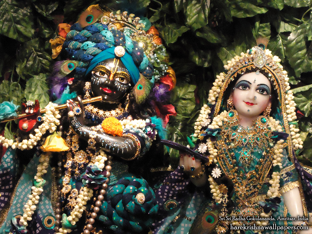 Sri Sri Radha Gokulananda Close up Wallpaper (010) Size 1024x768 Download