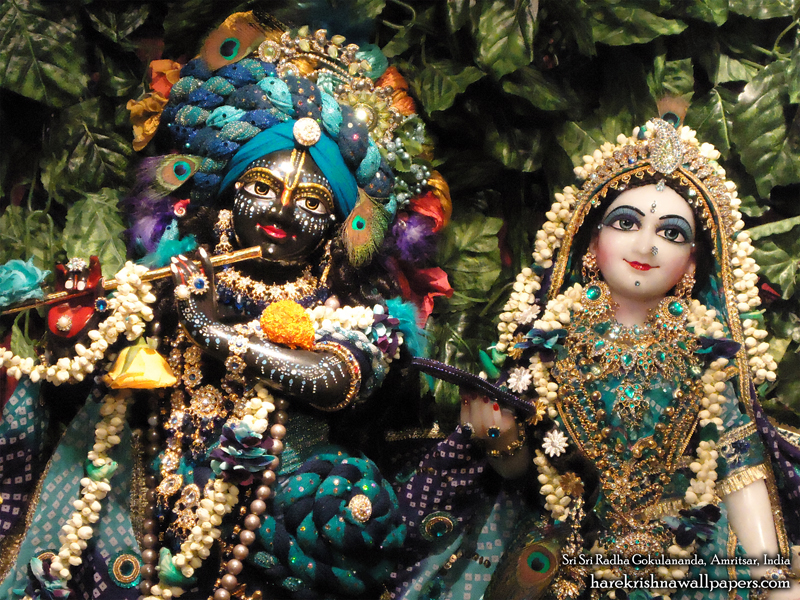 Sri Sri Radha Gokulananda Close up Wallpaper (010) Size 800x600 Download
