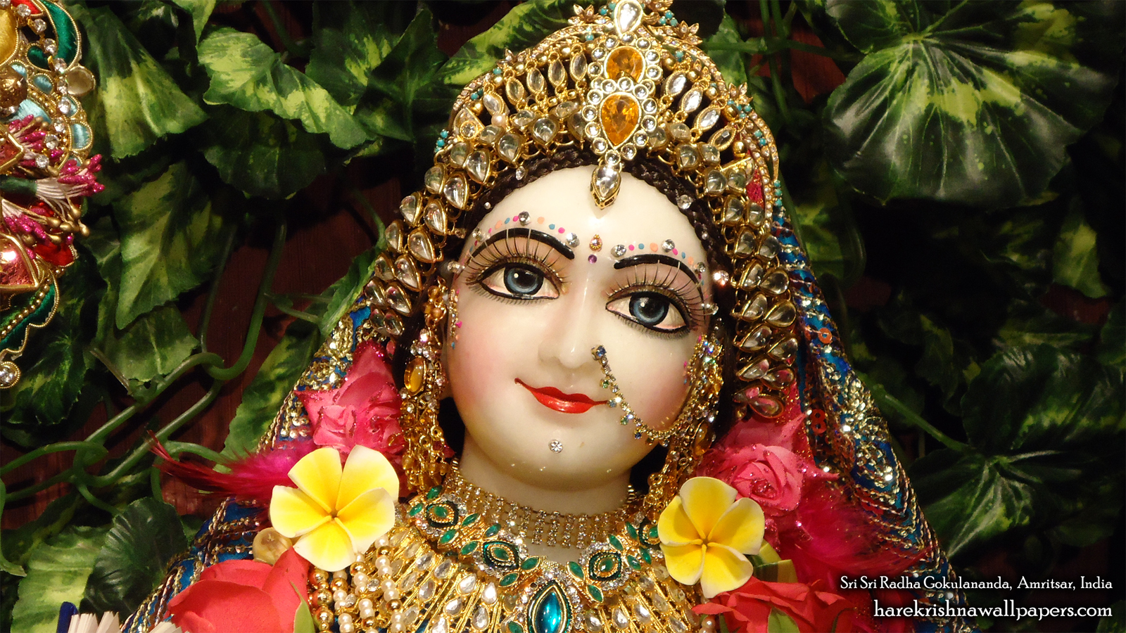 Sri Radha Close up Wallpaper (013) Size 1600x900 Download