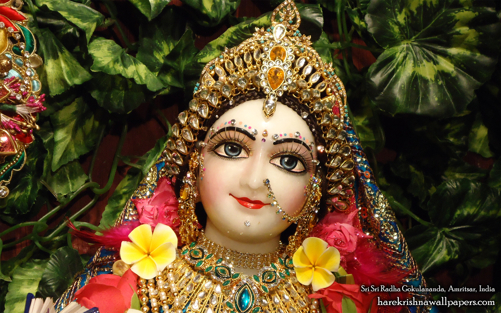Sri Radha Close up Wallpaper (013) Size 1680x1050 Download