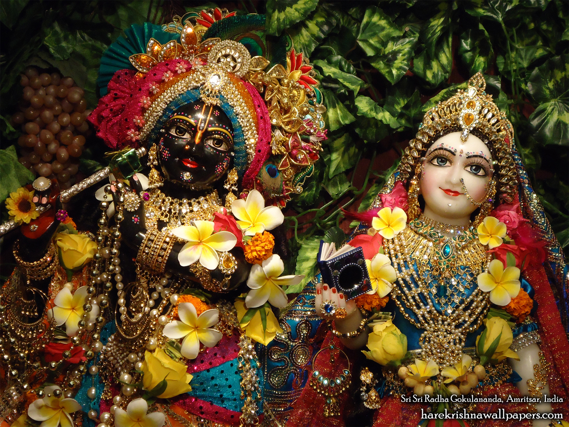 Sri Sri Radha Gokulananda Close up Wallpaper (015) Size 1152x864 Download