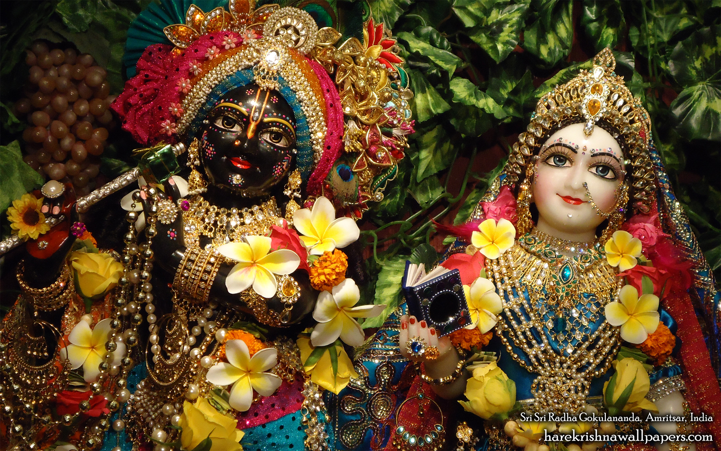 Sri Sri Radha Gokulananda Close up Wallpaper (015) Size 1440x900 Download