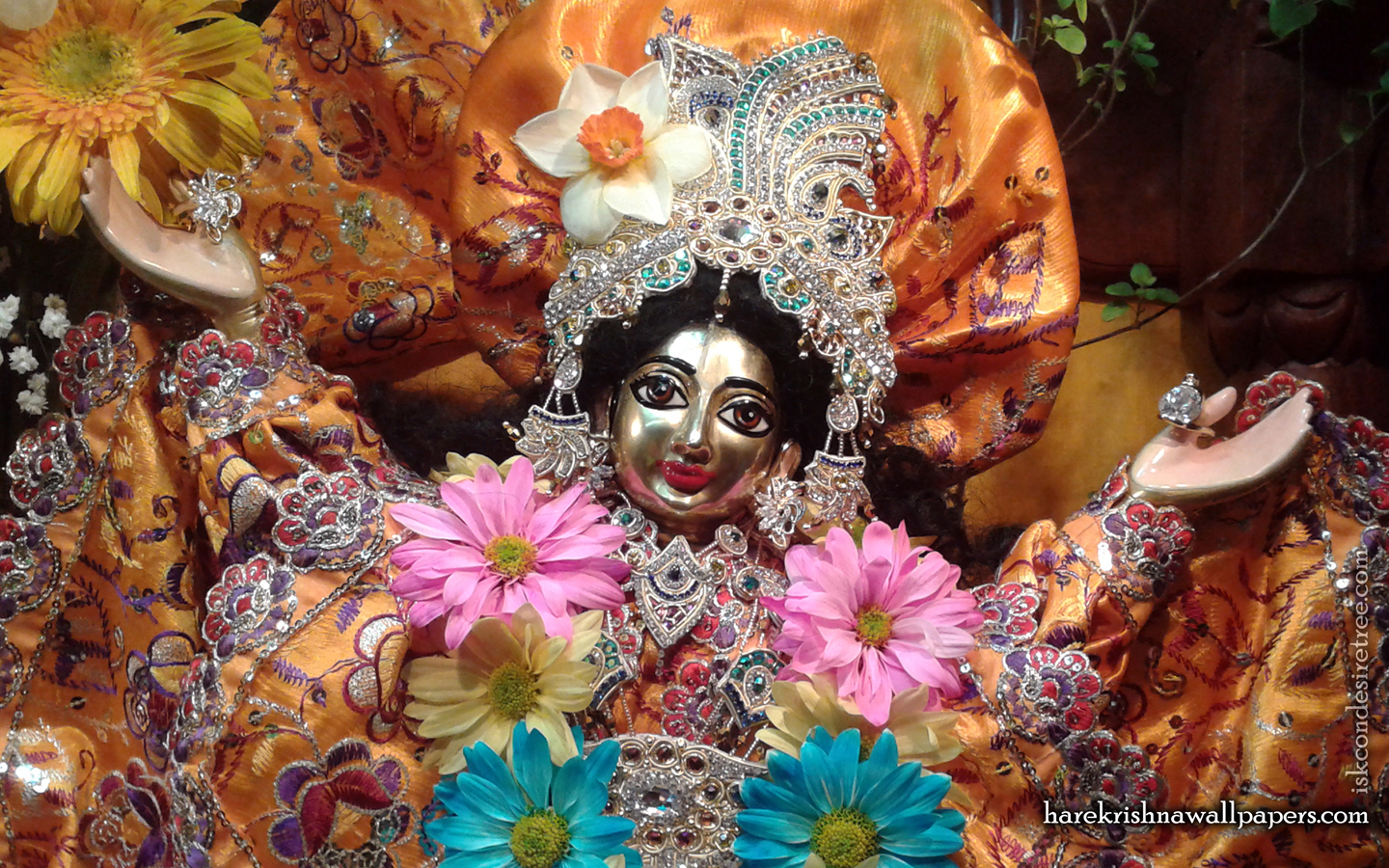 Sri Gaura Close up Wallpaper (001) Size 1440x900 Download