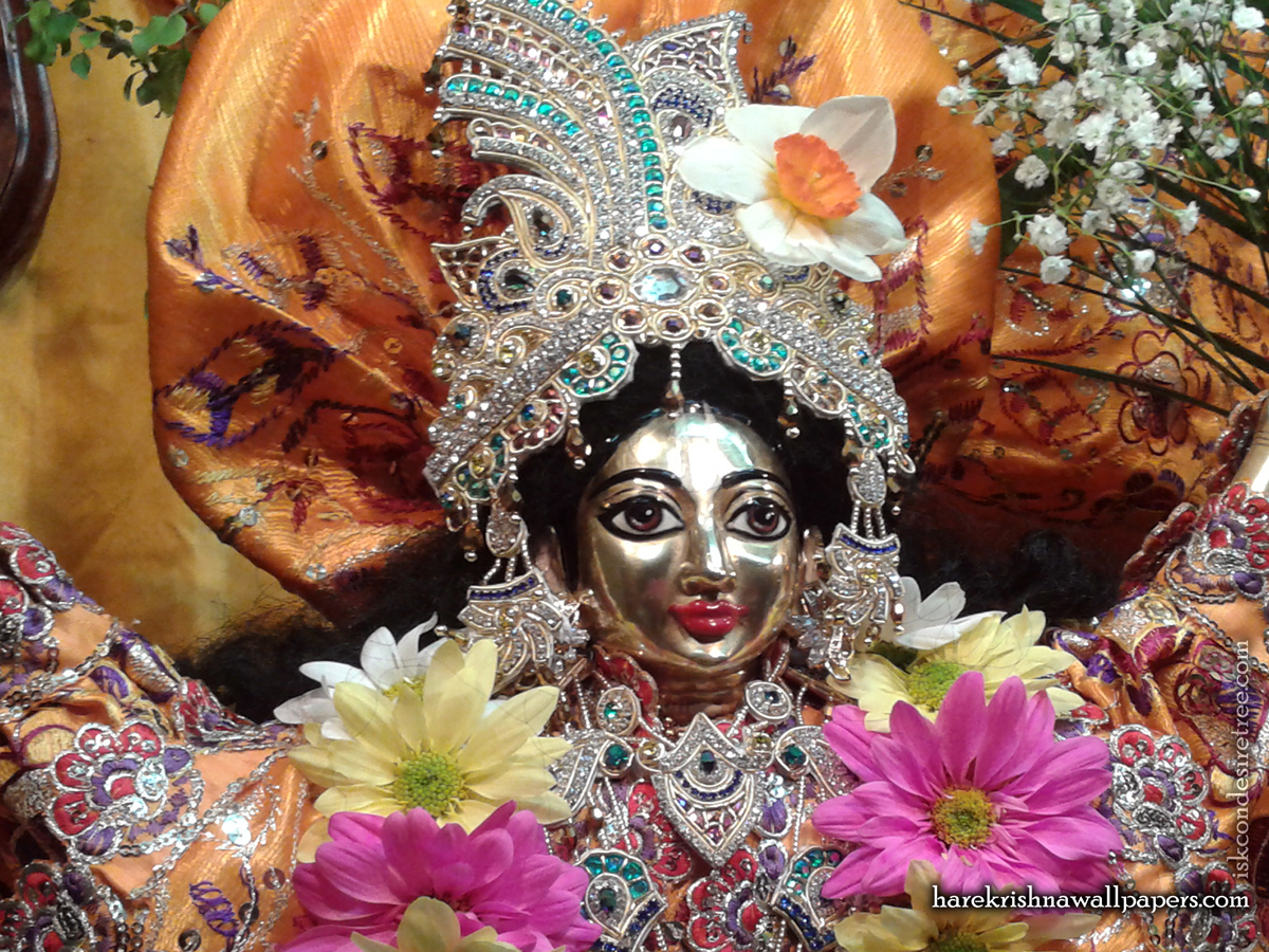 Sri Nitai Close up Wallpaper (001) Size1200x900 Download