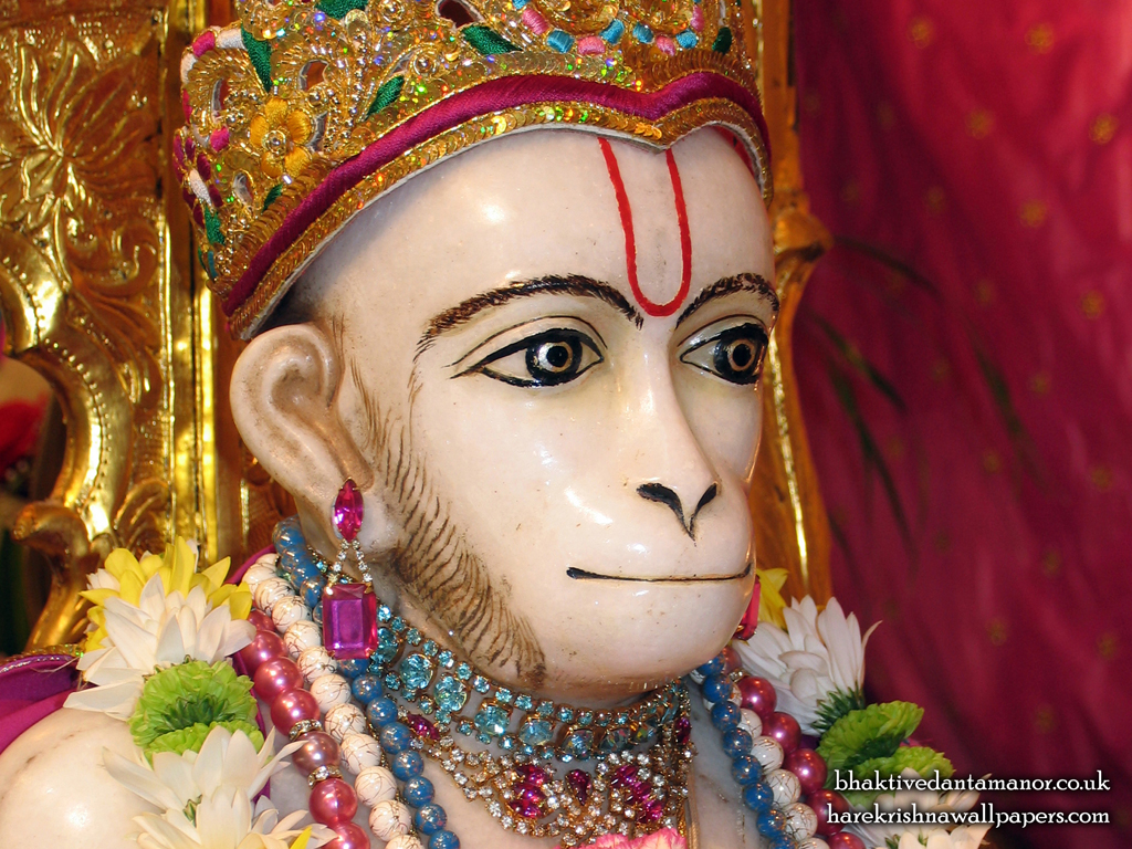Sri Hanuman Close up Wallpaper (001) Size 1024x768 Download