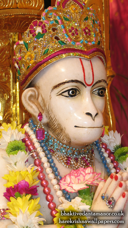 Sri Hanuman Close up Wallpaper (001) Size 450x800 Download