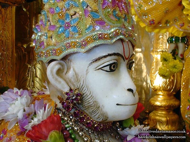 Sri Hanuman Close up Wallpaper (002)