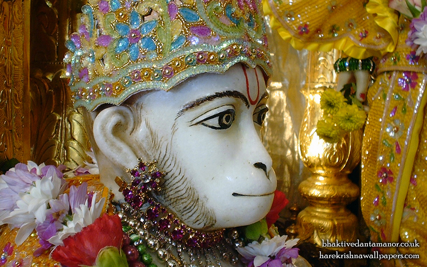 Sri Hanuman Close up Wallpaper (002) Size 1440x900 Download