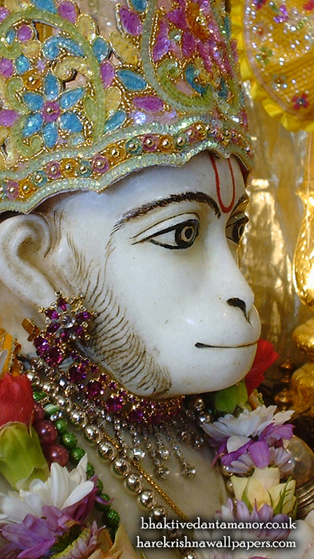 Sri Hanuman Close up Wallpaper (002) Size 450x800 Download