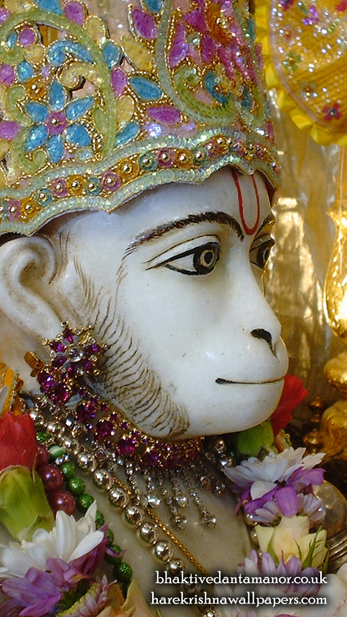 Sri Hanuman Close up Wallpaper (002) Size 675x1200 Download
