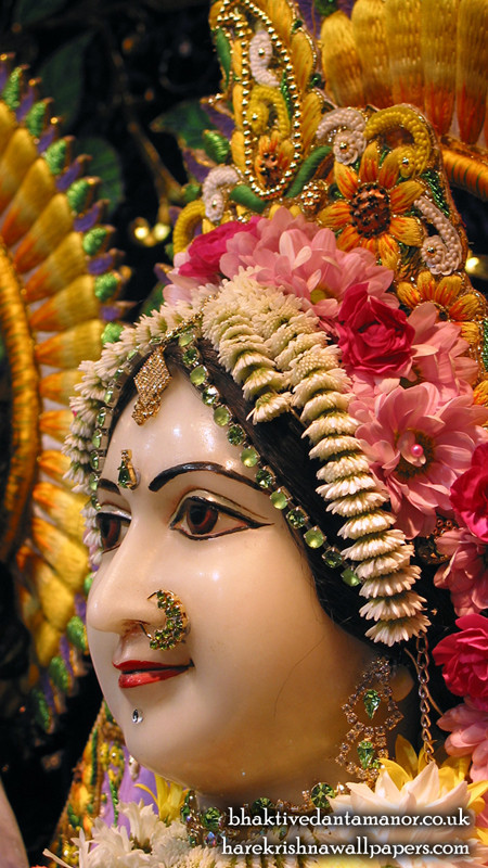 Sri Sita Close up Wallpaper (002) Size 450x800 Download