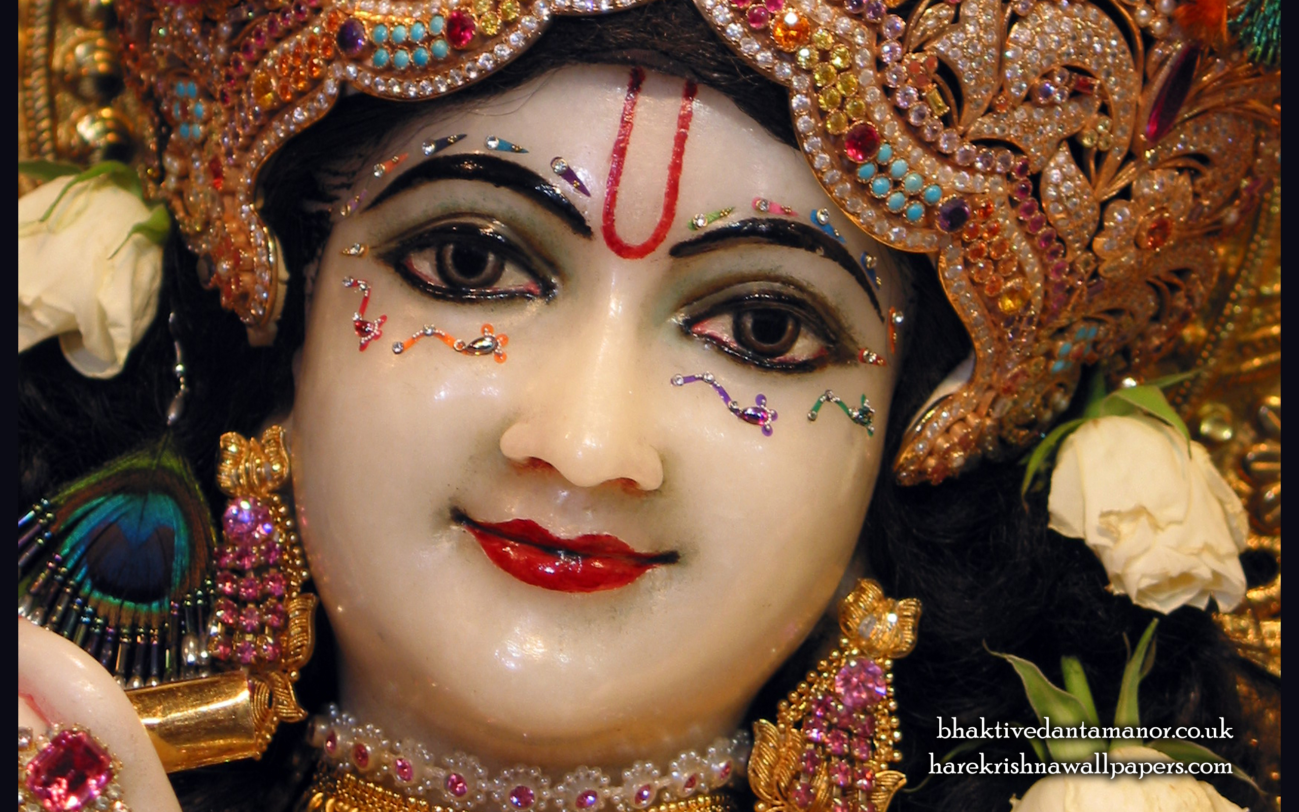 Sri Gokulananda Close up Wallpaper (004) Size 2560x1600 Download