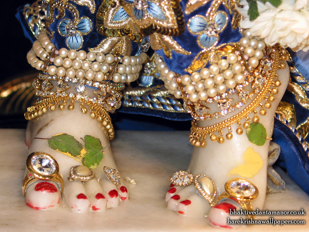 Sri Gokulananda Feet Wallpaper (004) Size 1024x768 Download