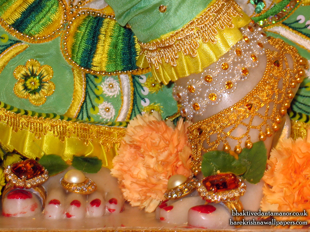 Sri Gokulananda Feet Wallpaper (007) Size 1024x768 Download