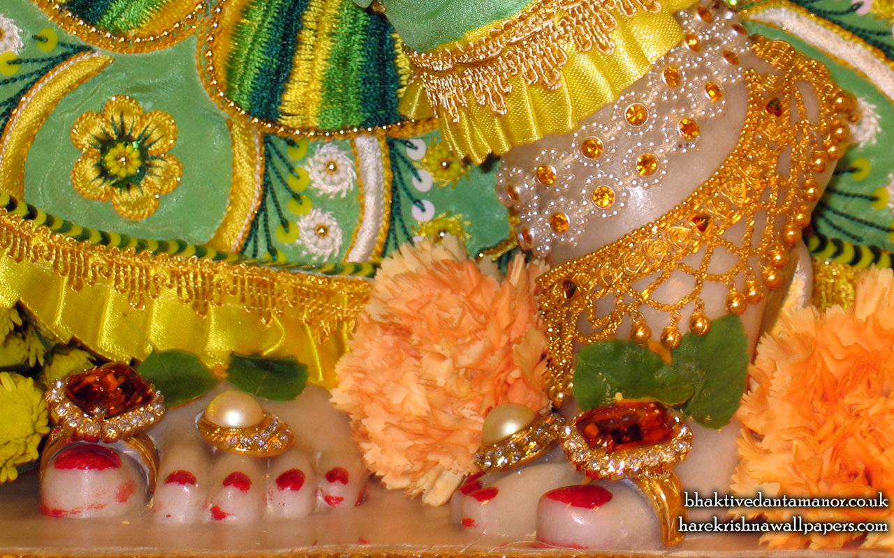 Sri Gokulananda Feet Wallpaper (007) Size 1280x800 Download