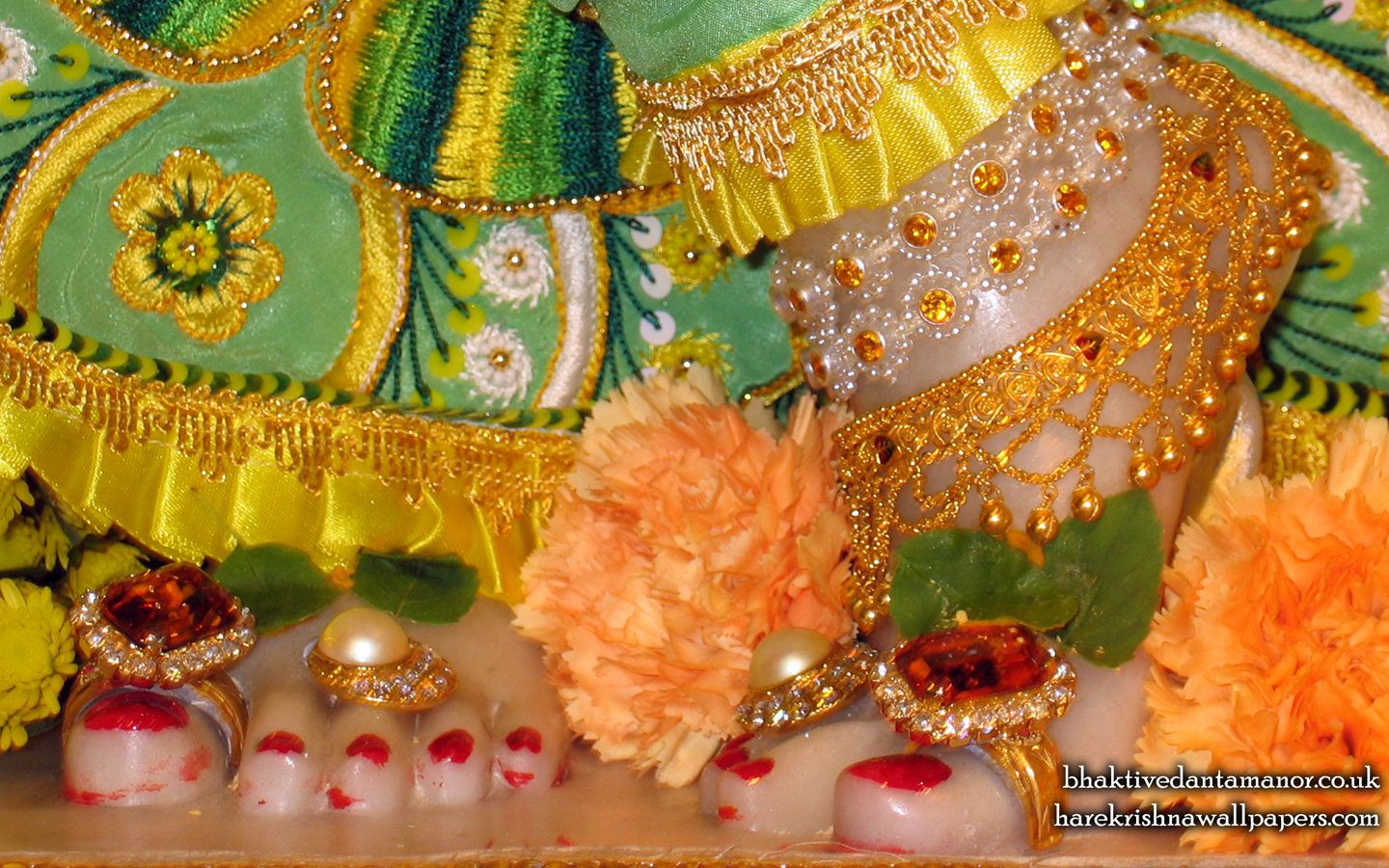 Sri Gokulananda Feet Wallpaper (007) Size 1440x900 Download