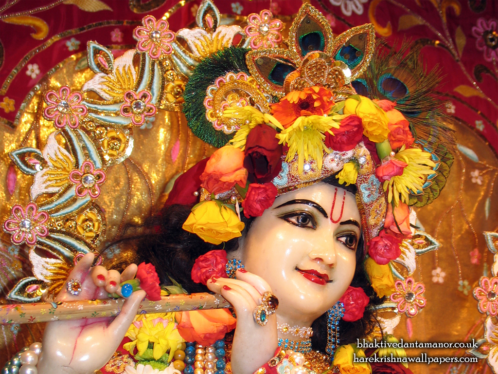 Sri Gokulananda Close up Wallpaper (010) Size 1024x768 Download