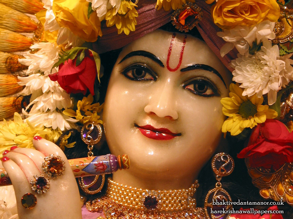Sri Gokulananda Close up Wallpaper (015) Size 1024x768 Download