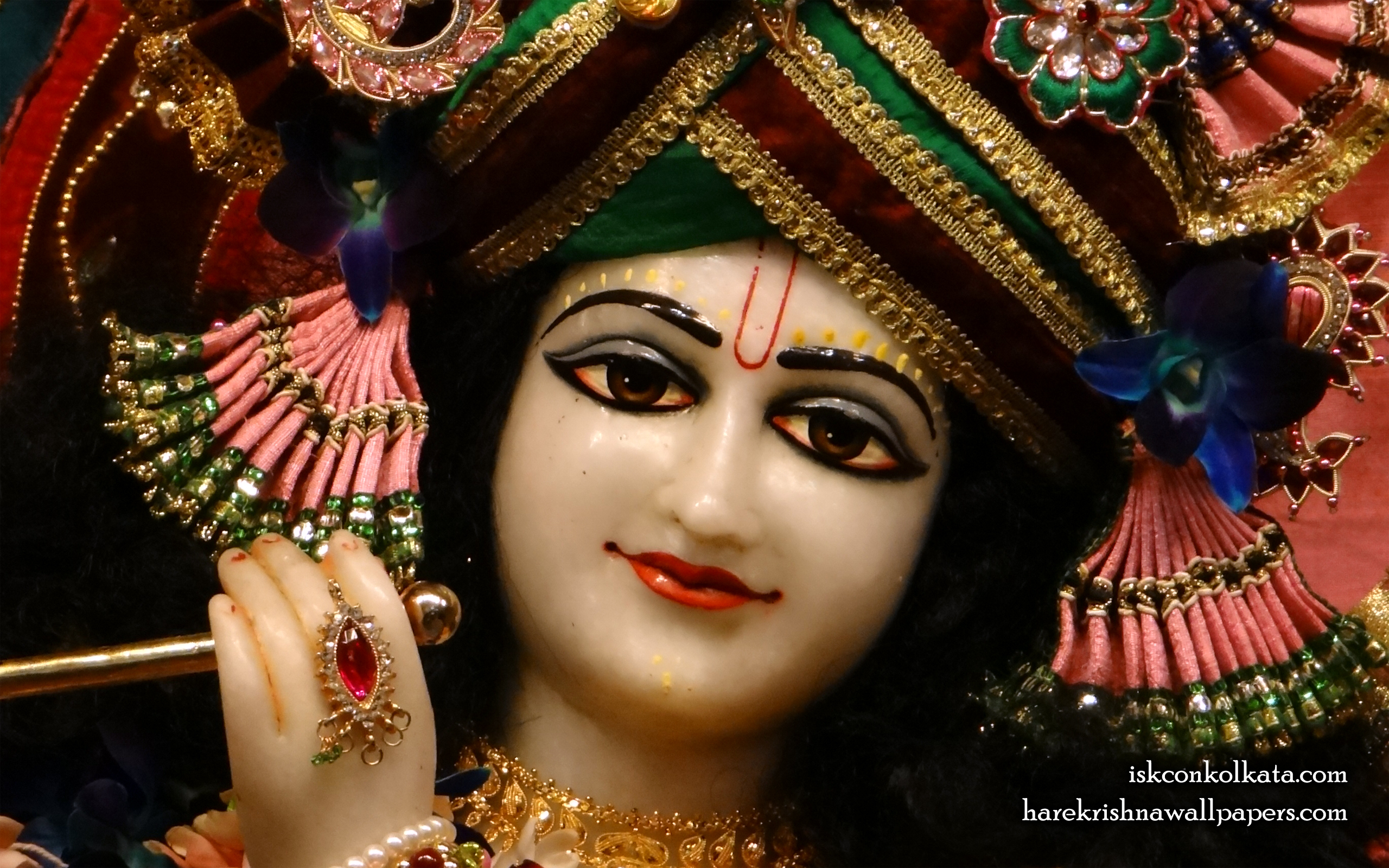 Sri Govinda Close up Wallpaper (005) Size 2560x1600 Download