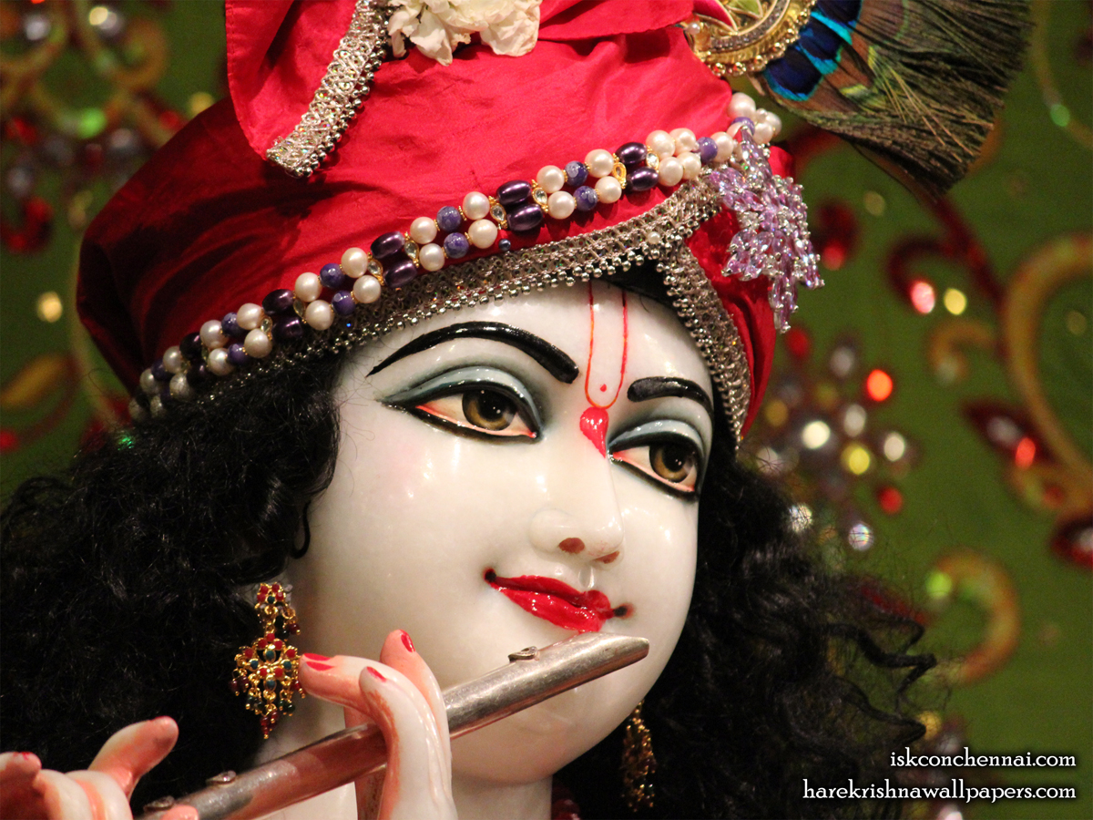 Sri Krishna Close up Wallpaper (001) Size 1200x900 Download