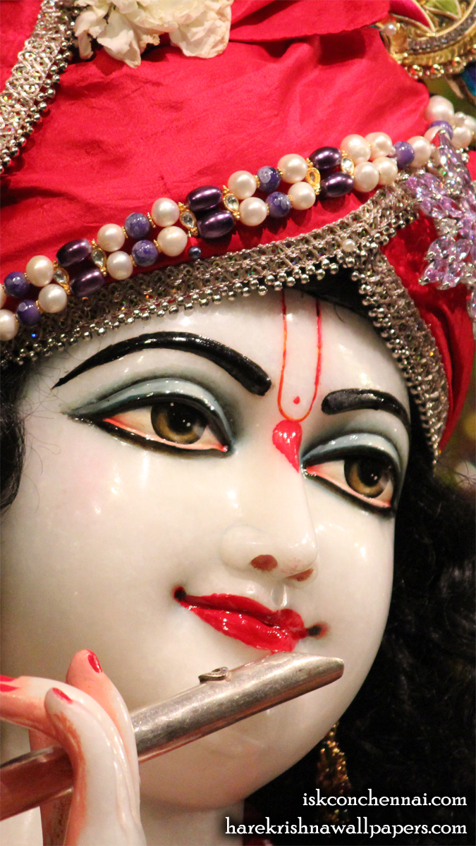Sri Krishna Close up Wallpaper (001) Size 675x1200 Download