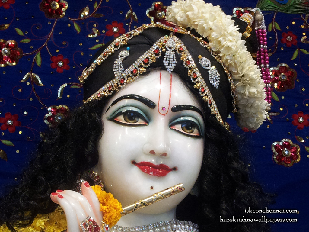 Sri Krishna Close up Wallpaper (002) Size 1024x768 Download