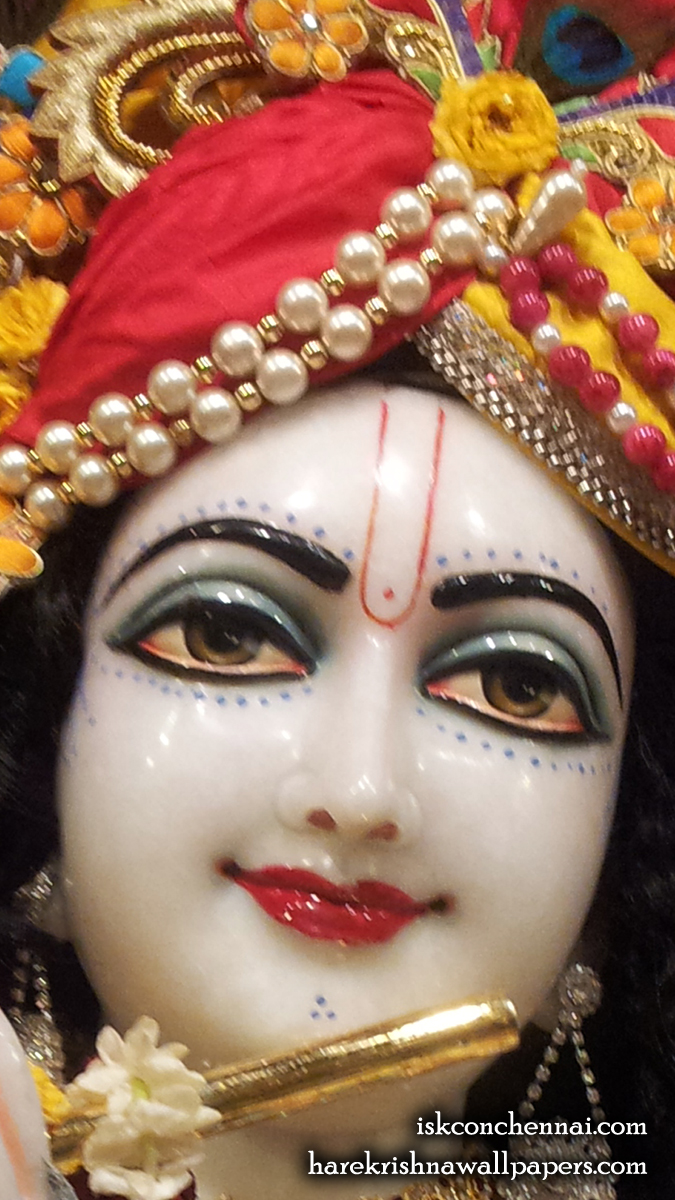 Sri Krishna Close up Wallpaper (005) Size 675x1200 Download