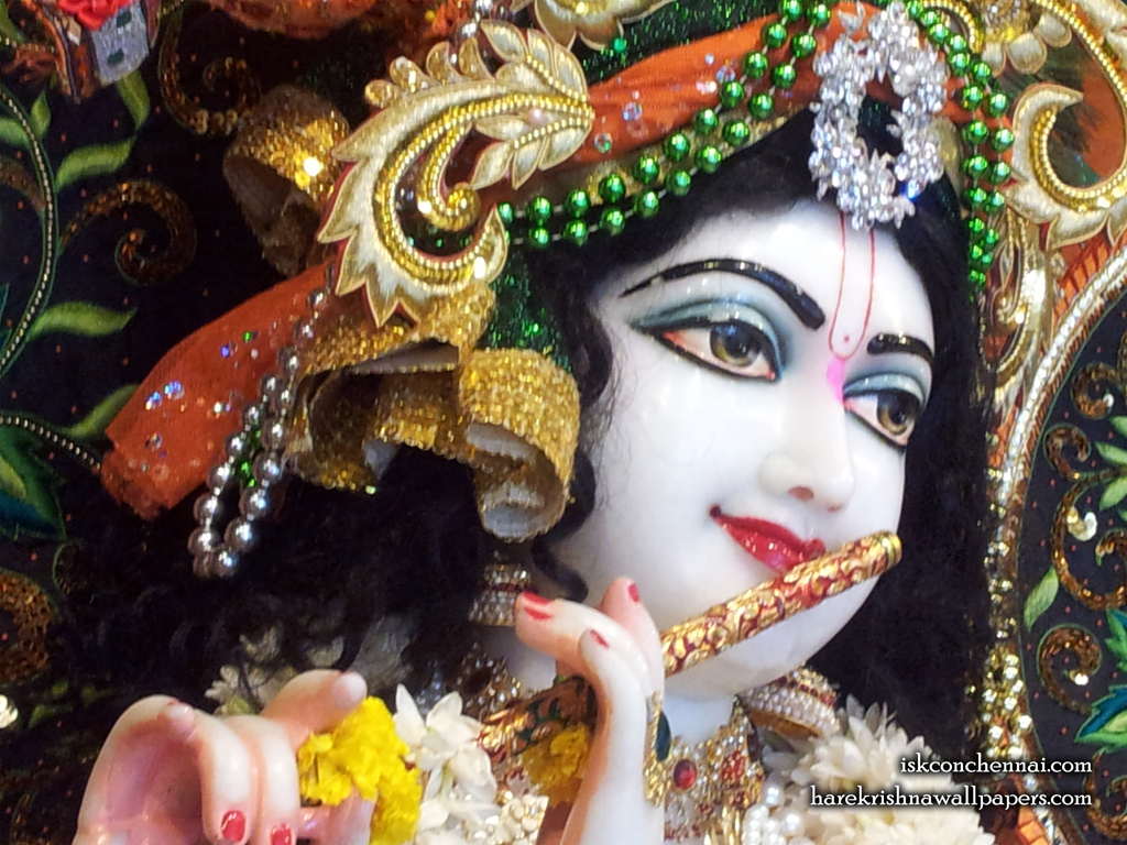 Sri Krishna Close up Wallpaper (006) Size 1024x768 Download