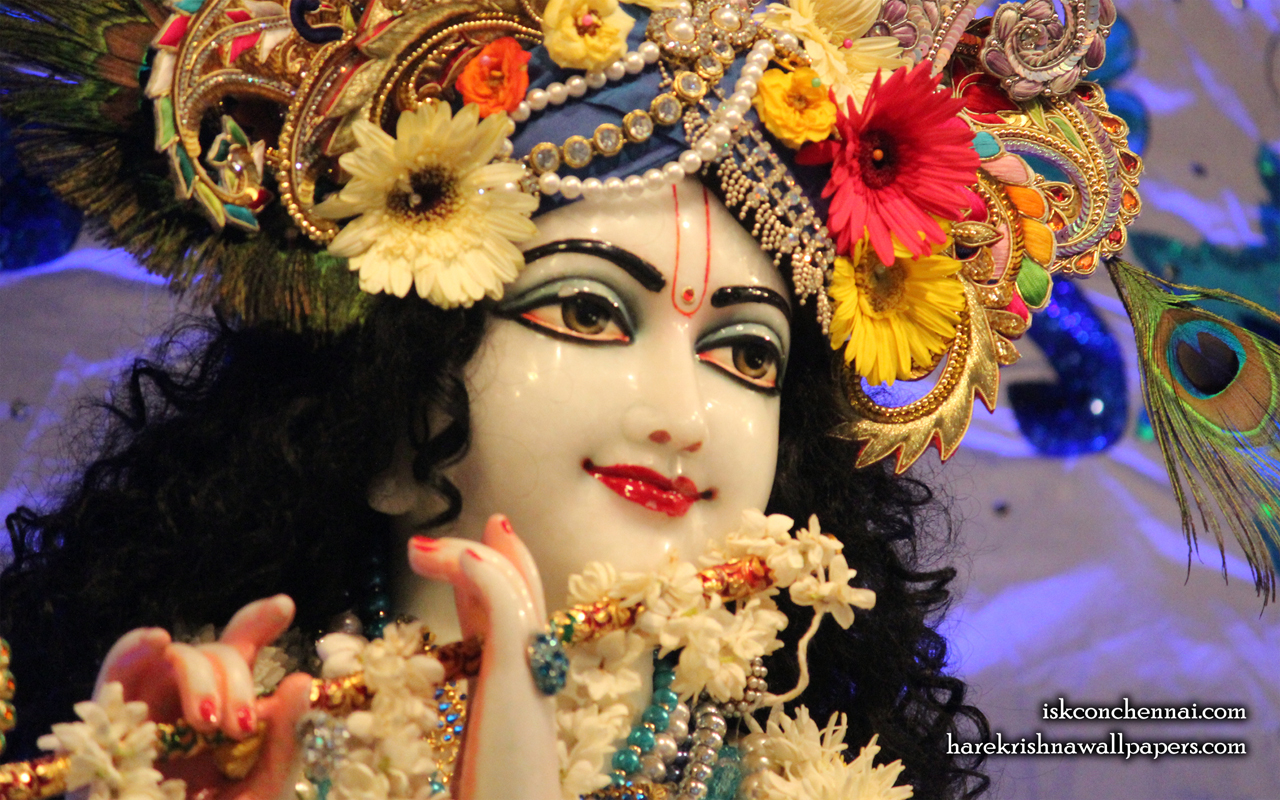 Sri Krishna Close up Wallpaper (007) Size 1280x800 Download