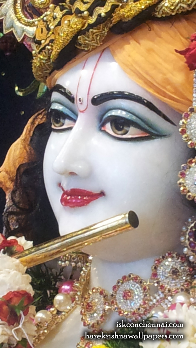 Sri Krishna Close up Wallpaper (008) Size 675x1200 Download