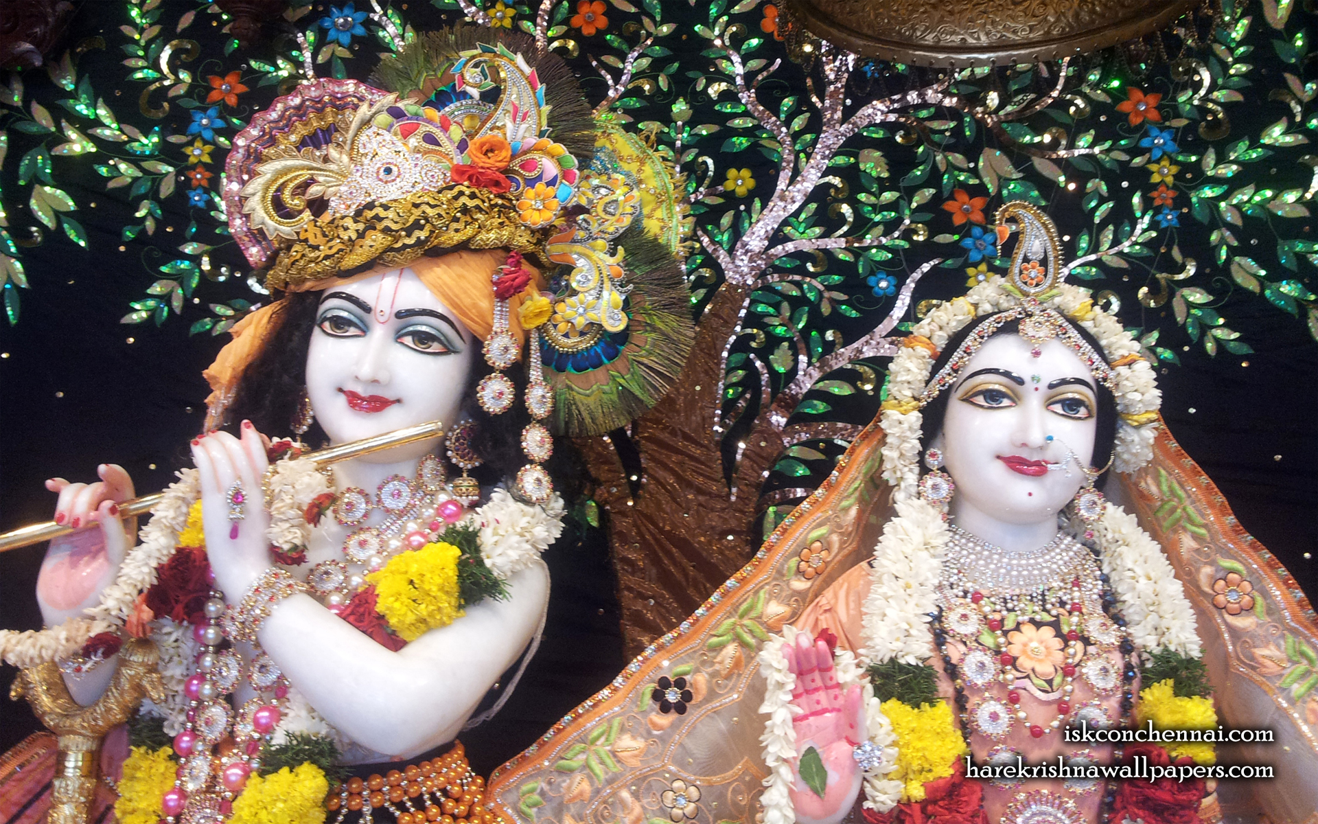 Sri Sri Radha Krishna Close up Wallpaper (008) Size 1920x1200 Download