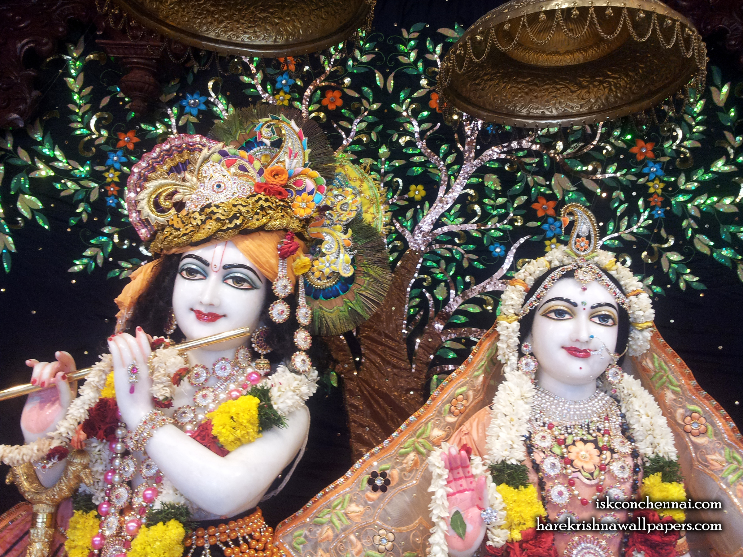 Sri Sri Radha Krishna Close up Wallpaper (008) Size 2400x1800 Download