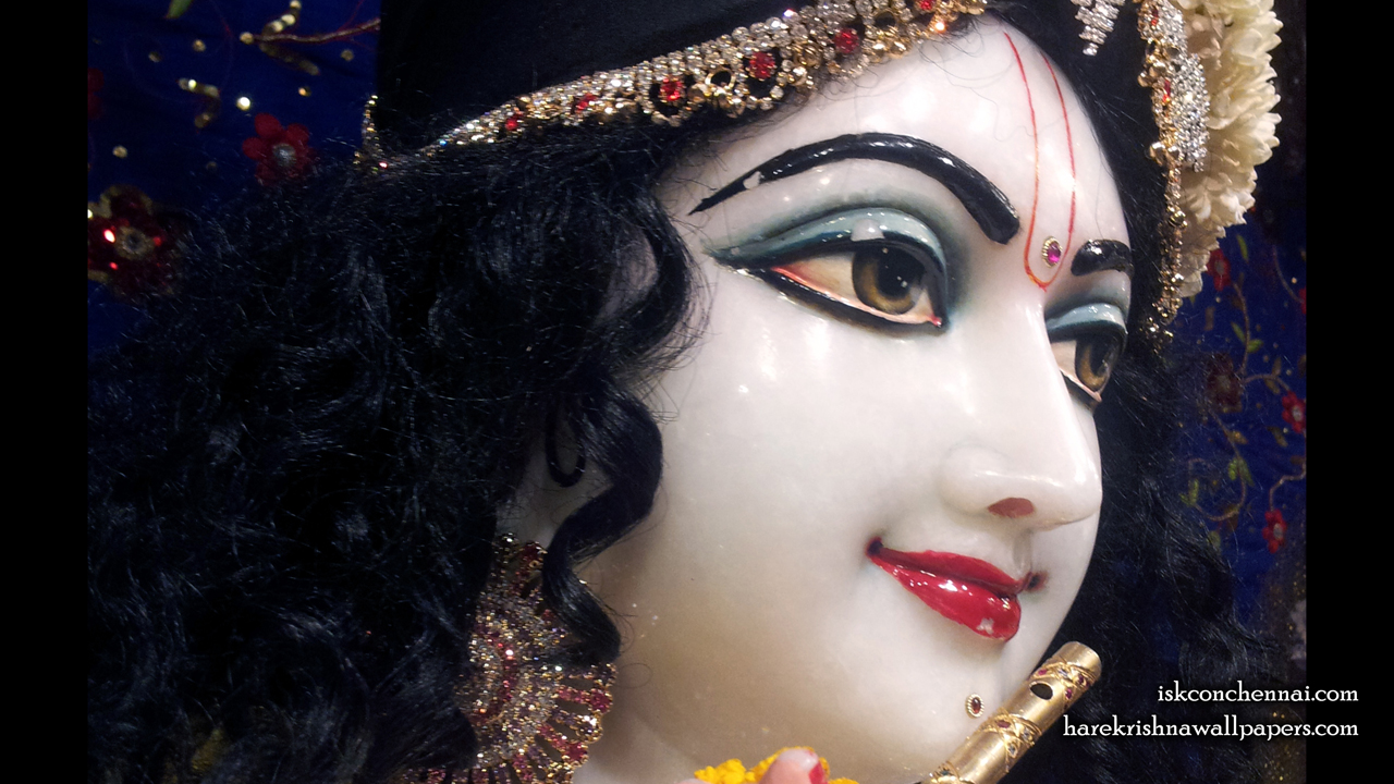 Sri Krishna Close up Wallpaper (009) Size 1280x720 Download