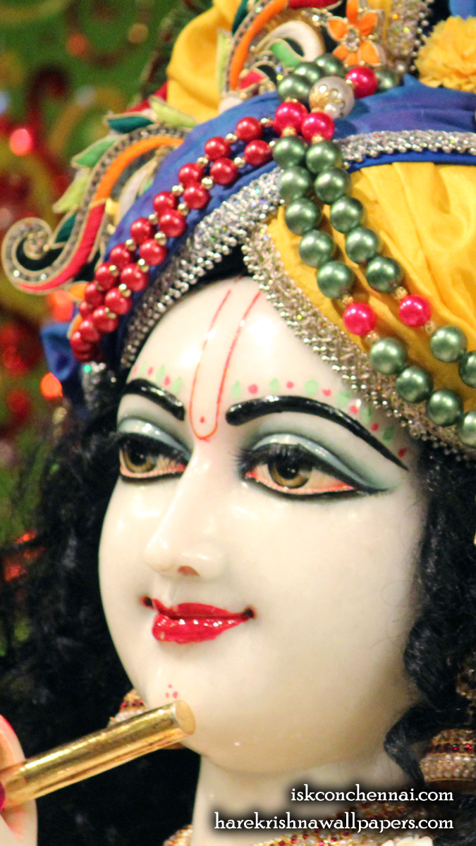Sri Krishna Close up Wallpaper (011) Size 675x1200 Download