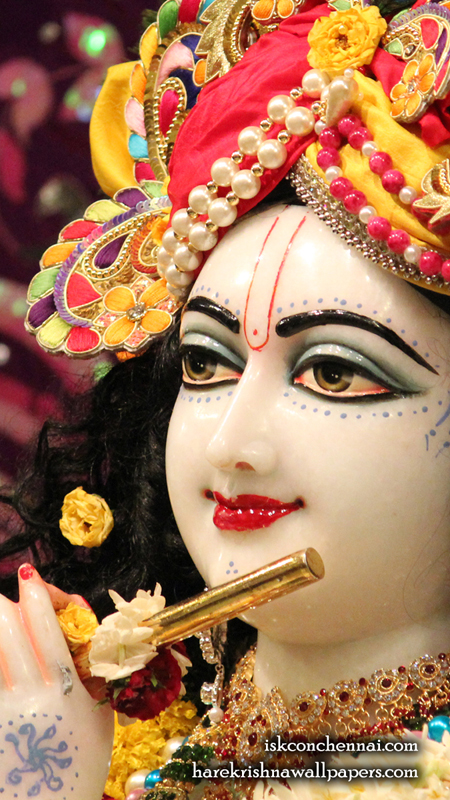 Sri Krishna Close up Wallpaper (012) Size 450x800 Download