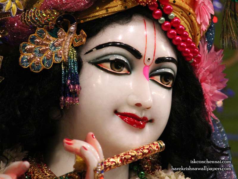 Sri Krishna Close up Wallpaper (015)