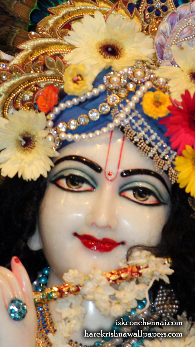 Sri Krishna Close up Wallpaper (017) Size 675x1200 Download