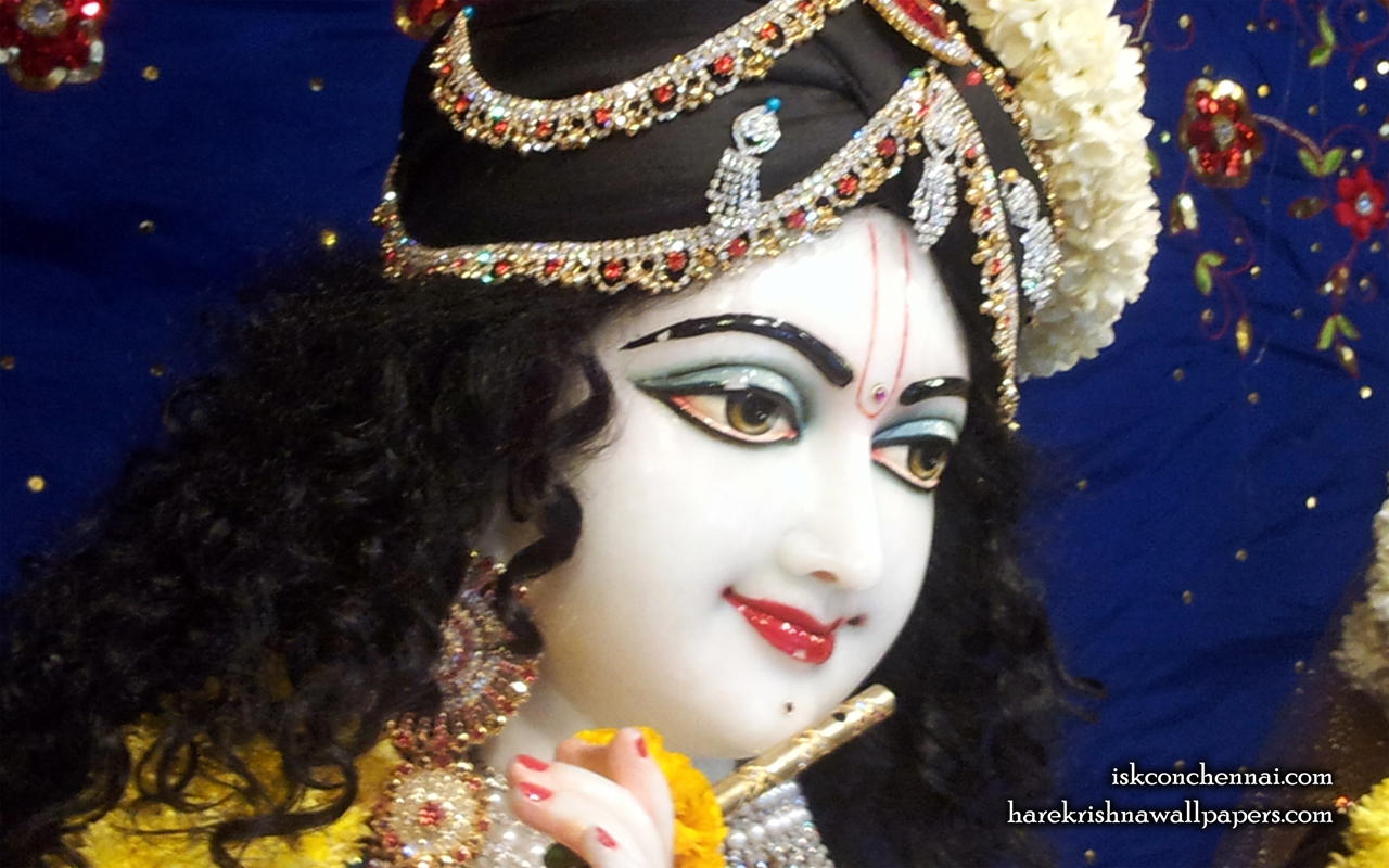 Sri Krishna Close up Wallpaper (018) Size 1280x800 Download